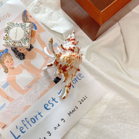 Seashell Shaped Hair Claw Clip