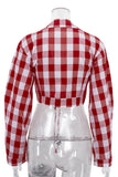 Gingham Tie-Front Cropped Blouse