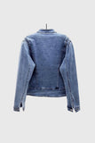 Butterfly Frog Button Denim Jacket