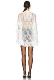 Ruffle Sheer Lace Mini Dress