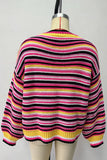 Striped Crew Neck Knit Sweater