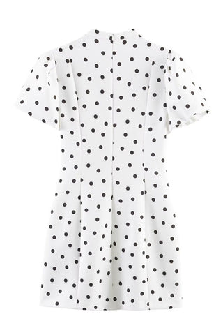 Polka Dot Puff Sleeve V-Neck Mini Dress