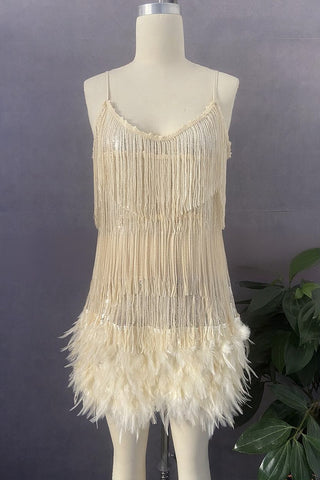 Fringe and Feathered Mini Dress