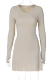 Long Sleeve Casual Mini Dress