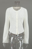 Button-Front Lace Blouse