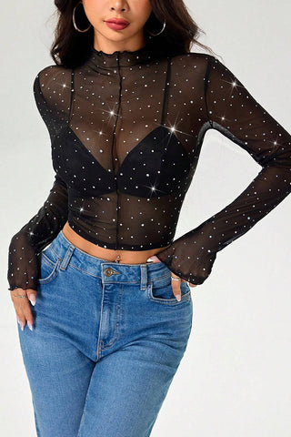 Sheer Long Sleeve Crop Top