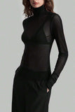 Sheer Turtleneck Long Sleeve Blouse