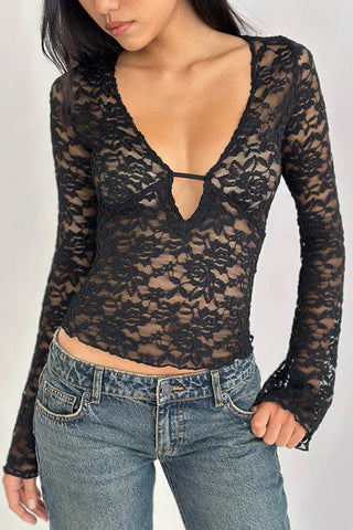 Lace V-Neck Sheer Blouse
