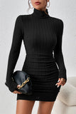 Ribbed Knit Turtleneck Dress