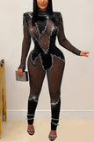 Sparkling Mesh Detail Jumpsuit