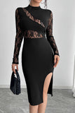 Lace Paneled Long-Sleeve Dress