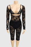 Elegant Lace Pants Set