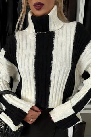 Turtleneck Striped Sweater