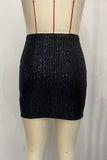Sequin Embellished Mini Skirt
