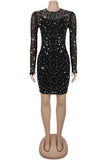 Sparkling Mesh Sleeve Casual Dress