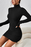 Ribbed Knit Turtleneck Dress