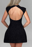 Sleeveless A-Line Mini Dress