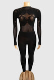 Elegant Lace Mesh Jumpsuit