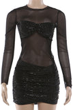 Sheer Long Sleeve Evening Dress