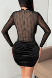 Sheer Long Sleeve Night Out Dress