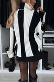 Turtleneck Striped Sweater