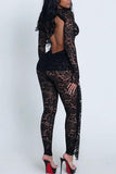 Elegant Lace Cut-Out Jumpsuit