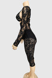 Elegant Lace Pants Set