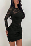Solid Lace Panel Long Sleeve Bodycon Dress