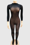 Sleek Long Sleeve Sheer Jumpsuit