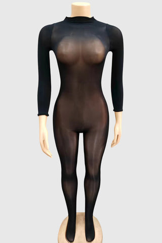 Sleek Long Sleeve Sheer Jumpsuit