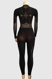 Elegant Lace Mesh Jumpsuit