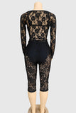 Elegant Lace Pants Set