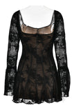 Sheer Lace Long Sleeve Dress