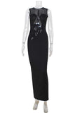 Elegant Sheer Panel Evening Gown