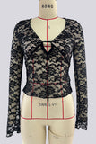 Lace V-Neck Sheer Blouse