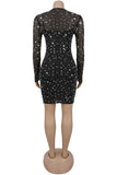 Sparkling Mesh Sleeve Casual Dress