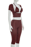 Polka Dot Crop Top and Pants Set