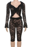 Elegant Lace Cropped Pants Set