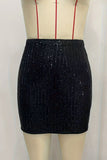 Sequin Embellished Mini Skirt