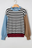 Striped Panel Colorblock Sleeve Sweater