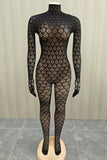 Elegant Lace Patterned Jumpsuit