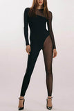 Sheer Panel Long Sleeve Jumpsuit