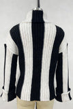 Turtleneck Striped Sweater