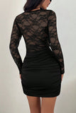 Solid Lace Panel Long Sleeve Bodycon Dress