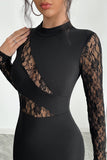 Lace Paneled Long-Sleeve Dress