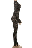Elegant Lace Pants Set