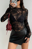 Sheer Lace Long Sleeve Top