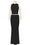 Sleeveless Crop Top and Maxi Skirt Set