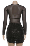 Sheer Long Sleeve Evening Dress