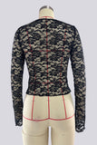 Lace V-Neck Sheer Blouse